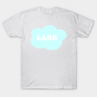 Aqua LARB Studios Cloud | LARB Studios & Abelia Rose T-Shirt